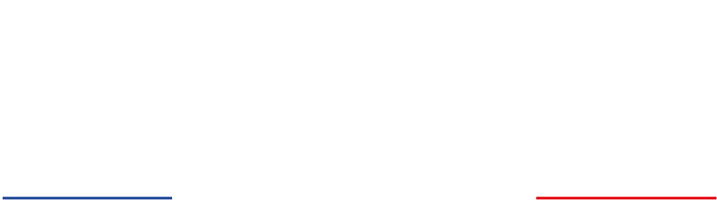 light logo